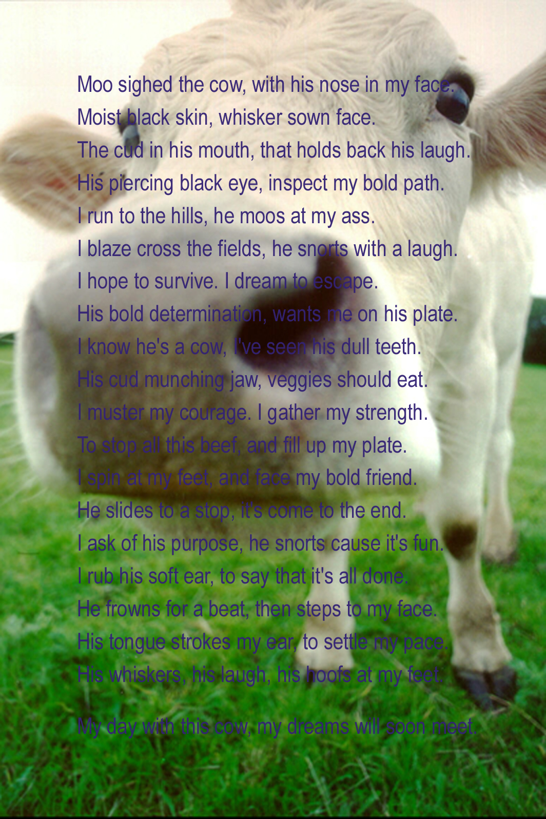 Cow Poem